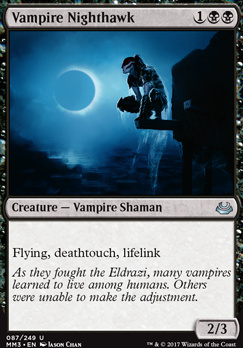 Vampire Nighthawk