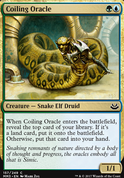 Coiling Oracle