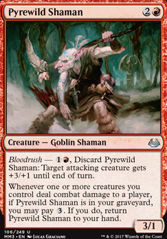 Pyrewild Shaman