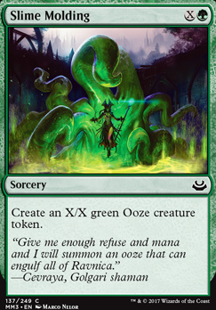 Slime Molding