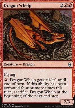 Dragon Whelp