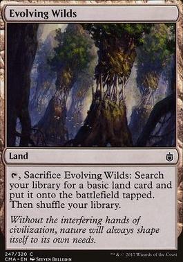 Evolving Wilds
