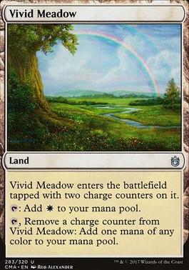 Vivid Meadow