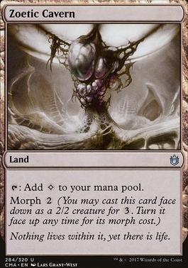 Zoetic Cavern