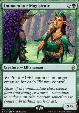 Immaculate Magistrate
