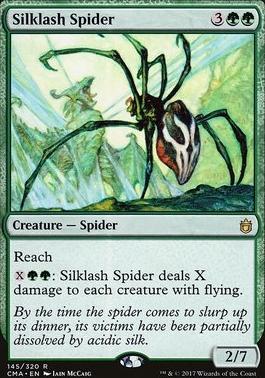 Silklash Spider