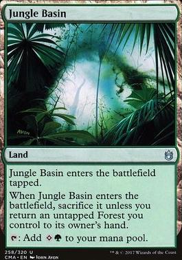 Jungle Basin