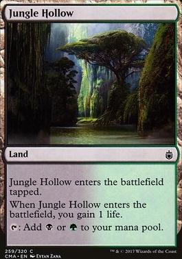 Jungle Hollow