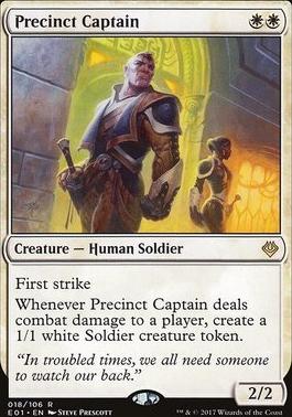 Precinct Captain