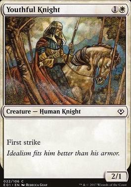 Youthful Knight
