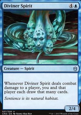 Diviner Spirit