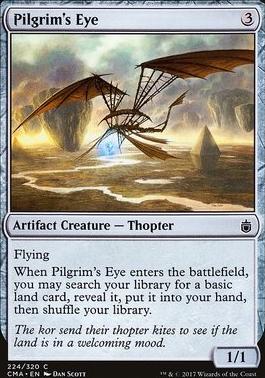 Pilgrim's Eye