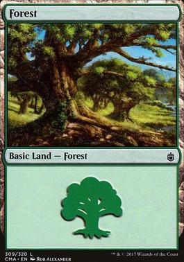 Forest