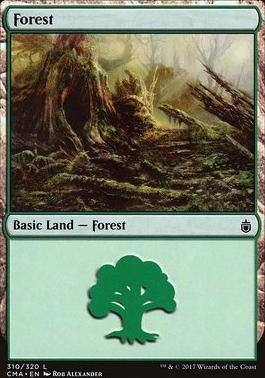 Forest