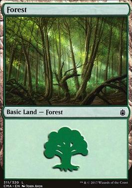 Forest
