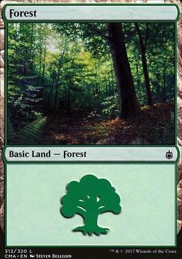 Forest