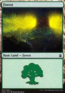 Forest