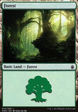 Forest