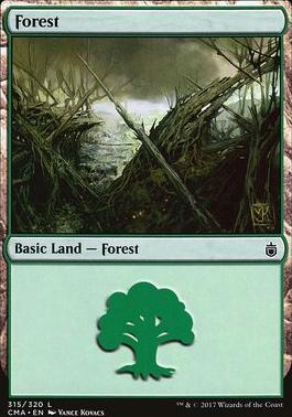 Forest