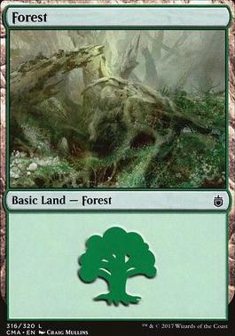 Forest