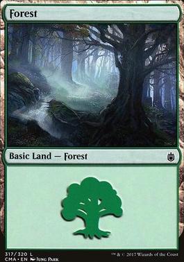 Forest