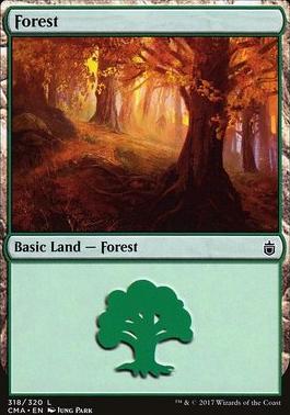 Forest