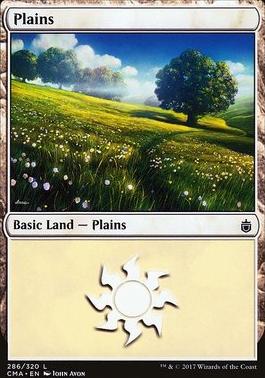 Plains