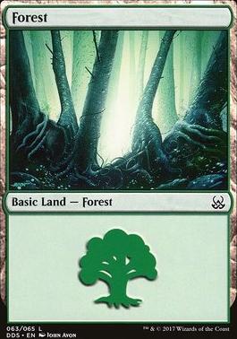 Forest