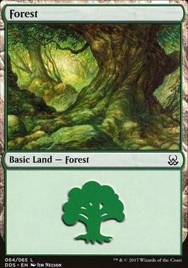 Forest