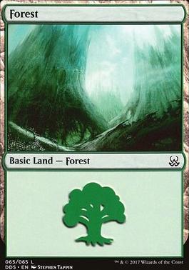 Forest