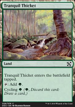 Tranquil Thicket