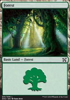 Forest