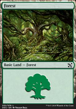 Forest