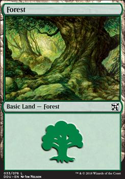 Forest