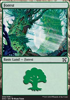 Forest