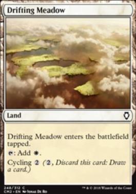 Drifting Meadow