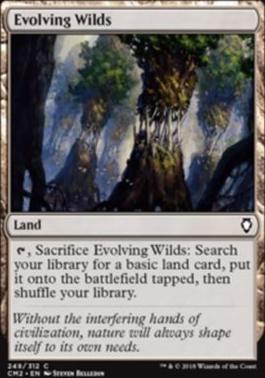 Evolving Wilds