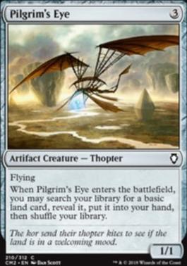 Pilgrim's Eye