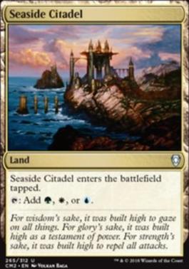 Seaside Citadel