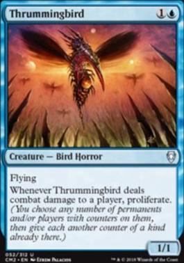 Thrummingbird