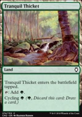 Tranquil Thicket