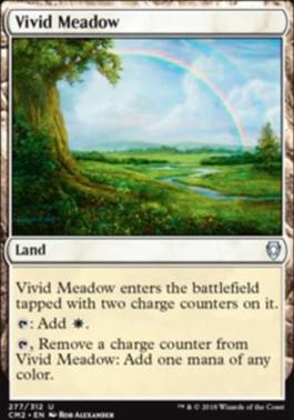 Vivid Meadow