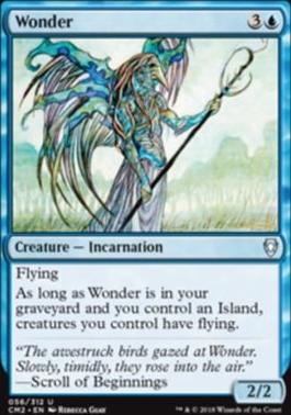 Wonder