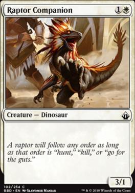 Raptor Companion