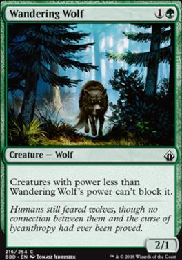 Wandering Wolf