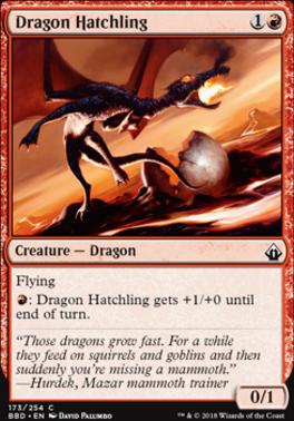 Dragon Hatchling