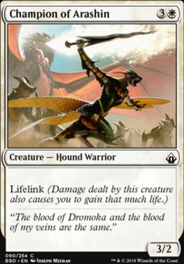 Champion of Arashin
