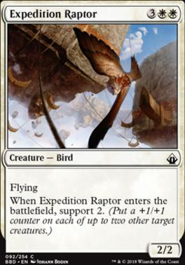 Expedition Raptor
