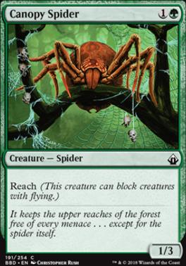 Canopy Spider