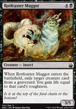 Rotfeaster Maggot
